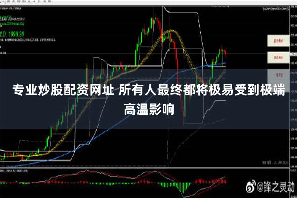 专业炒股配资网址 所有人最终都将极易受到极端高温影响