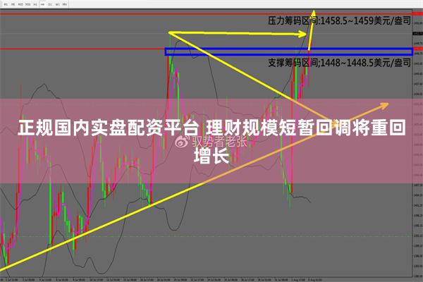 正规国内实盘配资平台 理财规模短暂回调将重回增长
