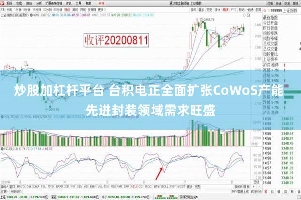 炒股加杠杆平台 台积电正全面扩张CoWoS产能 先进封装领域需求旺盛