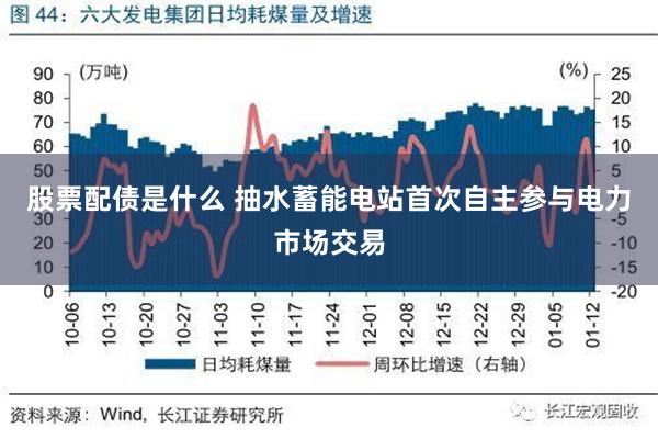 股票配债是什么 抽水蓄能电站首次自主参与电力市场交易