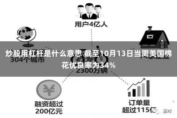 炒股用杠杆是什么意思 截至10月13日当周美国棉花优良率为34%