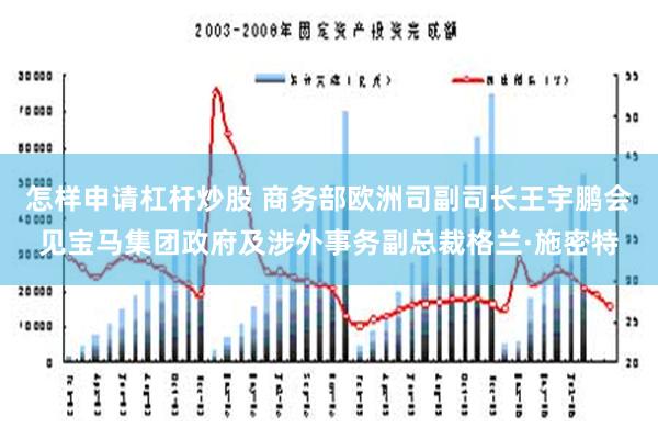 怎样申请杠杆炒股 商务部欧洲司副司长王宇鹏会见宝马集团政府及涉外事务副总裁格兰·施密特