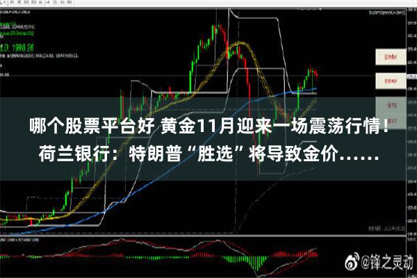 哪个股票平台好 黄金11月迎来一场震荡行情！荷兰银行：特朗普“胜选”将导致金价……