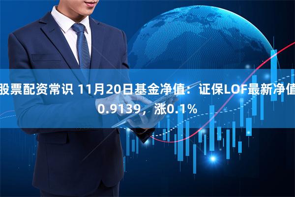 股票配资常识 11月20日基金净值：证保LOF最新净值0.9139，涨0.1%