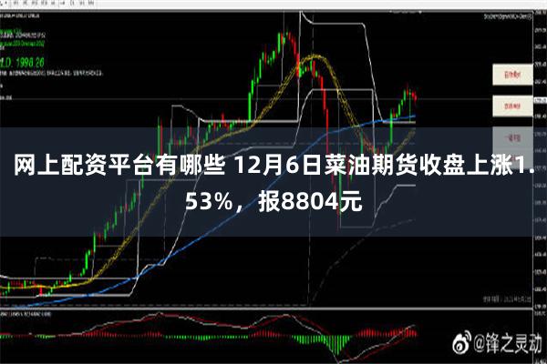 网上配资平台有哪些 12月6日菜油期货收盘上涨1.53%，报8804元