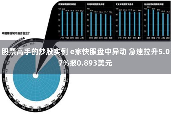 股票高手的炒股实例 e家快服盘中异动 急速拉升5.07%报0.893美元